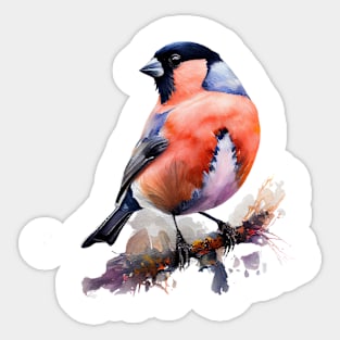 Bird Looking At The Sky Sticker